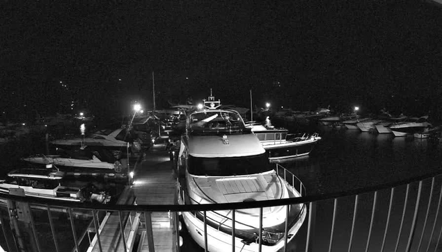 A nighttime scene at a marina, featuring several boats docked along a wooden walkway. The image is in black and white, with dim lights illuminating the boats and surrounding areas. A large white yacht is prominent in the foreground, while other smaller vessels are visible in the background, some partially in shadow. The water reflects faint light from the surrounding environment. A railing is visible in the lower part of the image, framing the scene.