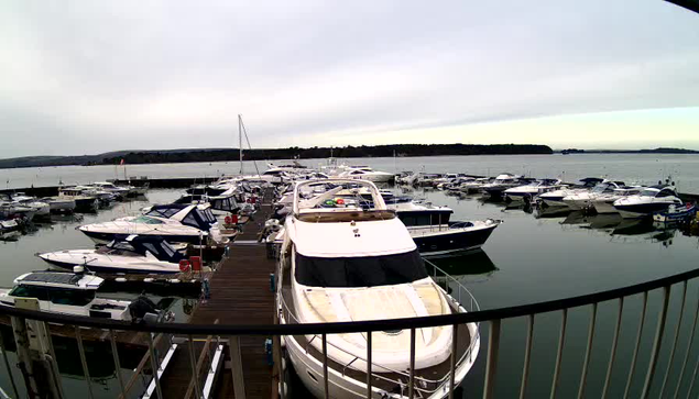 A scenic view of a marina filled with various boats and yachts docked along wooden piers. The water is calm and reflects the overcast sky, which is gray with hints of lighter clouds. In the background, there are tree-covered hills lining the shore, and a few boats are visible further out in the water. The scene conveys a tranquil atmosphere with no visible people.