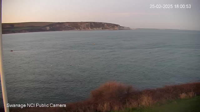 A serene view of the ocean with gentle waves under a clear sky, reflecting soft hues of evening light. In the foreground, there is a patch of shrubbery along the coastline, and in the distance, a cliff rises against the horizon. A few small boats are visible on the water. The scene conveys a calm and peaceful atmosphere, typical of a coastal environment near Swanage.