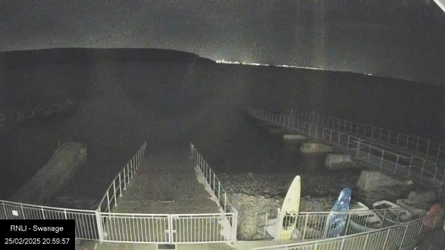 A dark scene depicting a shoreline at night with faint lights visible in the distance. The foreground features a rocky area with two kayaks positioned near a gated entrance leading to a dock. The dock is partially illuminated, showcasing a ramp leading towards the water. The overall atmosphere is quiet and serene, with a dark sky above.