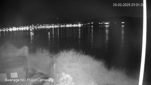 A nighttime view of a calm body of water, reflecting scattered lights from nearby buildings along the shoreline. In the foreground, there are blurred outlines of bushes and possibly objects indicating a land area. The water appears dark with slight ripples, and the scene is illuminated by the distant lights, creating a serene atmosphere. The date and time are displayed in the top right corner.