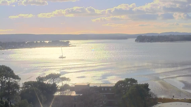 A serene waterfront scene at sunset, featuring a calm body of water that reflects the soft golden and blue hues of the sky. A solitary sailboat drifts peacefully on the water. In the foreground, leafy trees frame the lower part of the image, and buildings can be seen near the shore. Soft clouds stretch across the sky, enhancing the tranquil atmosphere.