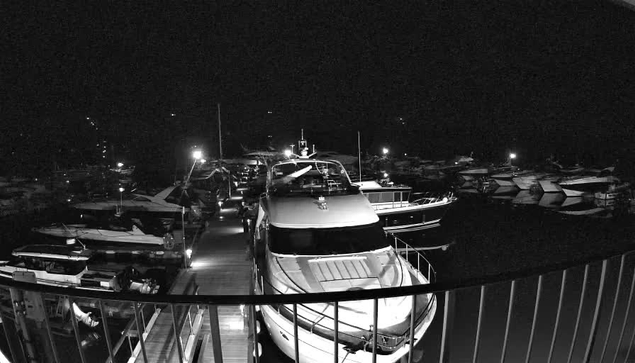 A night view of a marina captured in black and white. A large white boat is prominently positioned in the foreground, docked on a wooden pier. Surrounding it are several smaller boats, partially illuminated by distant lights. In the background, more boats are visible, along with faint reflections on the water's surface, contributing to a serene atmosphere. The scene is quiet and calm, with most details discernible in the low light.