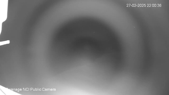 A blurry, indistinct image captured by a webcam, primarily in shades of gray. The center appears darker, creating a circular gradient effect towards the edges. There are faint light spots dispersed in the background, and a line of white, possibly a cable or border, on the left side. The bottom corner displays the text "Cyanage NCI Public Camera" along with a timestamp.