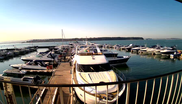 A panoramic view of a marina filled with various boats and yachts. In the foreground, a large white yacht is docked next to a wooden pier. The water is calm and reflects the clear blue sky. Several other boats of different sizes and colors are moored in the background, with a forested shoreline visible in the distance. The scene conveys a tranquil and sunny coastal atmosphere.