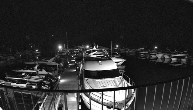 A nighttime view of a marina filled with various boats and yachts. The image is in black and white, featuring a docking area with a wide white boat in the foreground and smaller boats in the background. Soft lights illuminate different parts of the marina, creating a contrast against the dark water and surroundings. There is a wooden walkway leading across the scene, bordered by a railing on the left side.