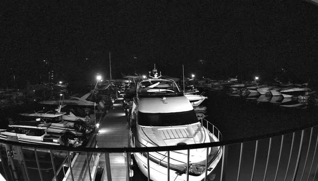 A nighttime scene at a marina, featuring several boats docked in the water. The image is predominantly in black and white, with some illumination provided by lights on the boats and surrounding area. A large white yacht is positioned in the foreground, partially on a dock. The dock is visible with railings, leading to more boats in the background, some of which are only partially visible. The overall atmosphere is calm, with the dark water reflecting the faint lights.