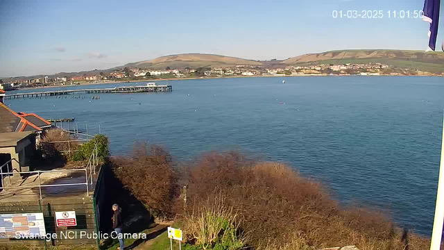 A seaside view shows calm blue waters with a pier extending into the water on the left side. In the foreground, there are patches of greenery and bushes. A person is walking on a path near the edge of the water. The background features a distant shoreline with buildings and hills. The sky is clear and bright, suggesting a sunny day.