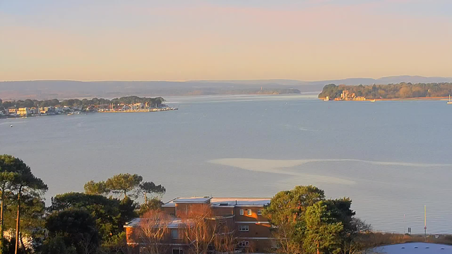 A scenic view of a river or estuary during daylight, with calm water reflecting soft hues of blue and light orange. On the left, there are several small boats docked near a lively waterfront lined with buildings. In the background, gentle hills can be seen, leading to a more forested area on the right, which possibly contains structures or a castle-like silhouette. Pine trees are positioned in the foreground, adding a touch of greenery to the natural landscape.