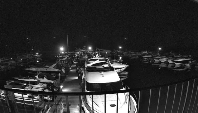 A nighttime scene of a marina with several boats docked along a wooden pier. The image is in black and white, highlighting the shapes of the boats and the reflections on the water. Dim lights illuminate parts of the marina, creating a contrast against the dark surroundings. Some boats are covered, while others are visible, with a few pilings and mooring posts lining the dock. The atmosphere feels calm and serene, typical of a quiet evening by the water.