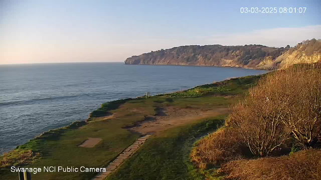 A scenic view of the ocean with gentle waves, extending to the horizon under a clear blue sky. In the background, there are cliffs with greenery. The foreground features a grassy area with some patches of bare ground. The time and date in the corner indicate early morning.