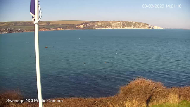 A coastal scene featuring calm blue water under a clear sky. In the background, cliffs and rolling green hills are visible along the shoreline. A flag pole with a flag is situated in the foreground, and several small boats can be seen floating on the water. The scene suggests a serene outdoor setting, likely near a beach or harbor.