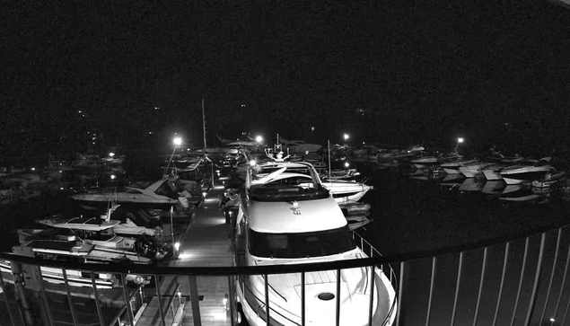 A nighttime scene at a marina with many parked boats. The image is predominantly black and white, with faint lights illuminating the boats and dock area. The foreground features a large white boat, and behind it, several other boats are moored, all reflecting softly on the water. A railing is visible in the foreground, hinting at the perspective from a higher vantage point. The surrounding darkness adds to the nighttime ambiance of the marina.