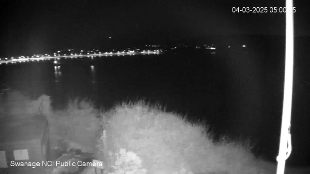 A dark image showing a coastal scene at night with faint lighting from buildings along the shoreline. The foreground features indistinct outlines of bushes or vegetation, blending into the darkness, while the water in the background reflects some of the lights from the opposite shore. A vertical support, possibly a pole, is visible on the right side of the image. The timestamp in the corner indicates the image was taken early in the morning.