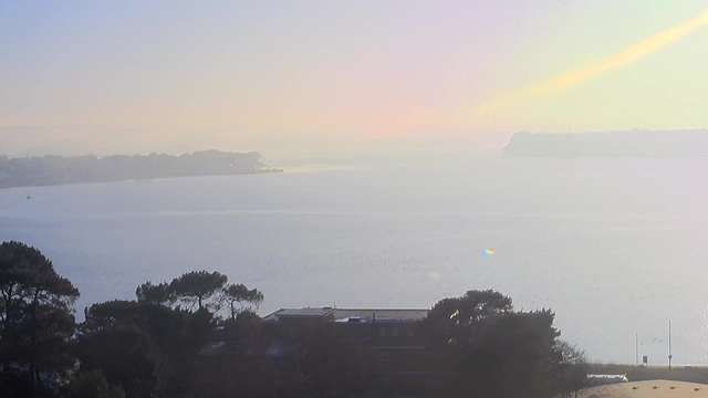 A hazy view of a calm body of water, reflecting soft pastel colors of a sunrise, with trees visible in the foreground. There is a distant shoreline with trees and a faint outline of land on the horizon. The sky has a gradient of light blues and soft oranges, suggesting early morning light. A small boat can be seen near the shore.