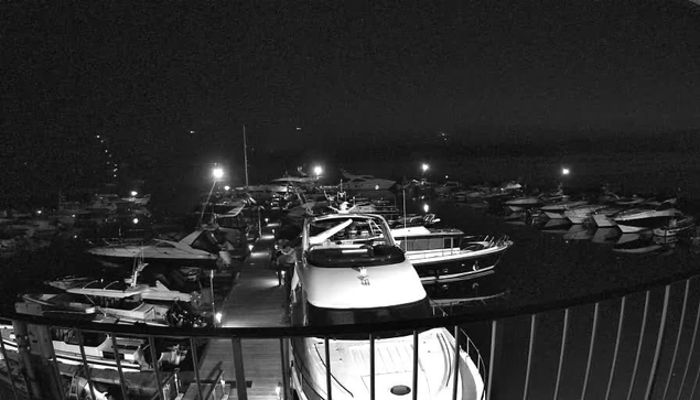 A nighttime scene of a marina filled with various boats. The image is in black and white, showcasing several docked boats, some illuminated by lights. The view includes a railing in the foreground and a dark, calm water surface reflecting the lights from the boats. The overall atmosphere is serene and quiet, with a slight haze in the background.