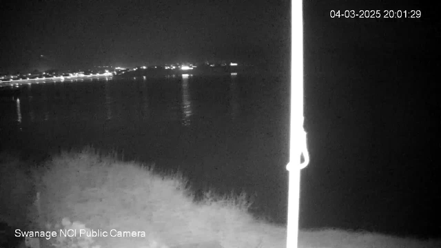 A dark scene at night featuring a body of water, which reflects faint lights from a distant shoreline. The image is primarily monochromatic, with subtle contrasts between the water and the land. A pole with a knot is visible on the right side, and the bottom of the image shows a blurred land area. A timestamp indicates the date and time of the image capture.