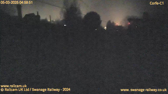 The image shows a dimly lit outdoor scene at dawn. Silhouettes of trees and buildings are visible against a hazy, grayish background. There are faint lights from the distance, possibly from street lamps or vehicles. The overall atmosphere is dark with limited visibility, indicating early morning just before sunrise. The timestamp at the top shows the date and time as 05-03-2025 at 04:59:51.