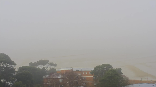 A dense fog covers the scene, obscuring most visibility. In the foreground, there are several buildings with flat roofs and a mix of trees surrounding them. The background is a blank white space where land and sky merge indistinguishably, suggesting the presence of water or sand. Overall, the atmosphere conveys a sense of stillness and mystery due to the heavy fog.