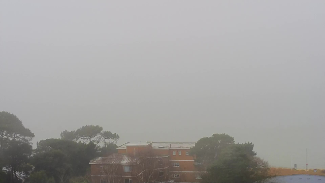 A foggy landscape featuring a muted, gray sky that blends into the distant horizon. In the foreground, there are several trees with dark green foliage and a brown brick building partially visible. The building has a flat roof and windows that reflect the overcast conditions. The scene conveys a sense of stillness and obscurity due to the heavy mist.