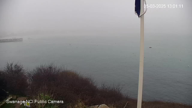 A foggy coastal scene is shown, with the sea appearing calm and gray. The view includes a distant wooden pier extending into the water on the left side. There are a few small boats floating on the surface, barely visible due to the fog. In the foreground, there are patches of vegetation, including bushes, and a white pole with a small flag positioned on the right side. The overall atmosphere is misty and serene.