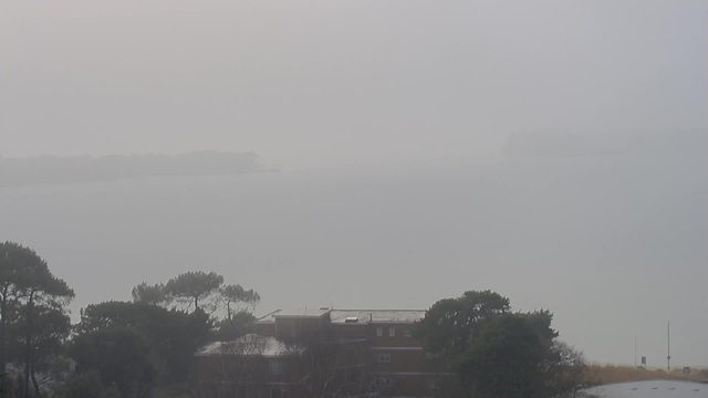 A foggy scene features a body of water that is mostly obscured by mist. In the foreground, there are several trees and a low brown building with a flat roof. The background blends into the fog, making it difficult to distinguish any details or further landscape features. The overall mood is gray and muted, with limited visibility.