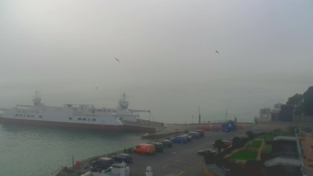 A foggy waterfront scene featuring a large ferry docked at the harbor. The visibility is low due to mist. In the foreground, there are several parked cars along the waterfront road, with a mixture of colors including blue, orange, and black. Some people are visible walking near the water's edge. The background shows faint outlines of trees and structures, merging with the fog. Birds can be seen flying in the misty sky.