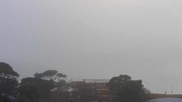 A foggy scene shows a low visibility landscape with a building partially obscured by mist. On the left, there are dark green trees. The building has a flat roof and appears to be two stories tall, with some windows visible. The overall atmosphere is gray and muted, with the backdrop fading into the fog.