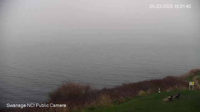 A foggy view of a calm body of water. The horizon blends with the sky, making it hard to distinguish where they meet. A few small objects, possibly buoys or birds, are visible on the water's surface. In the foreground, there is a patch of grass with some dry bushes. A wooden bench sits on the right side of the image, and a small sign is located nearby. The scene suggests a quiet, serene atmosphere.