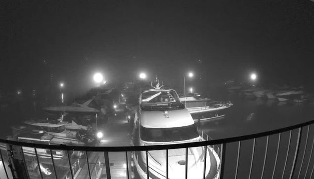 A dark, foggy scene of a marina at night. Several boats are visible in the water, partially illuminated by bright, glowing lights nearby. The boats vary in size and type, with one large yacht in the foreground appearing prominently. A metal railing can be seen in the lower part of the image, framing the view. The surrounding environment is obscured by fog, making the scene appear mysterious and subdued.