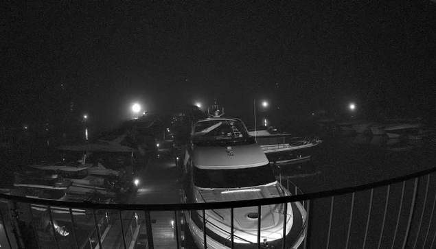 A dimly lit marina at night, with several boats docked. The image is mostly black and white, showcasing the outlines of boats and faint reflections on the water. There are scattered lights illuminating parts of the marina, creating a hazy and serene atmosphere. A railing can be seen in the foreground, adding depth to the scene.