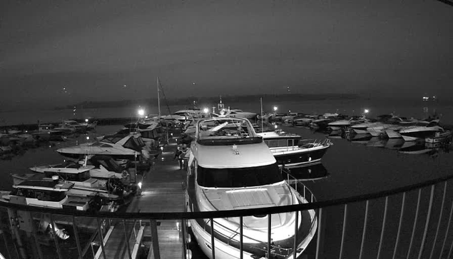 A nighttime view of a marina filled with boats. The scene is monochromatic, showing multiple moored boats along a wooden dock, with the reflections of the boats visible in the calm water. Soft lighting illuminates parts of the dock and boats, creating a serene atmosphere. In the distance, a hazy shoreline is faintly visible against the dark sky.