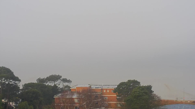 A view of a foggy landscape featuring a low visibility scene. In the foreground, there is a brick building with several windows, surrounded by trees. The background shows a gray sky blending into a hazy ocean, with no distinct horizon visible. The overall atmosphere appears calm and muted, with soft outlines due to the fog.