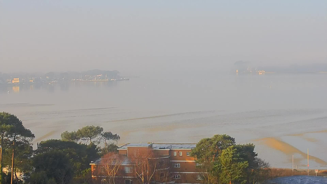 A foggy scene showing a body of water with a still surface, reflecting soft light. In the foreground, there is a low building with a flat roof and several trees, including evergreens and bare branches, partially obscured by fog. In the background, hints of distant land, boats, and structures can be seen, but they are shrouded in mist, creating a serene and muted atmosphere. The overall color tones are soft and pale due to the fog.