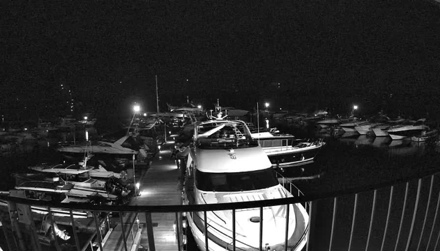 Black and white image of a marina at night, featuring several boats docked in the water. A large white boat is prominently in the foreground on the left side, with visible railings and deck. There are faint lights illuminating parts of the marina and some boats, creating reflections on the water. The image captures the calm and stillness of the night scene.