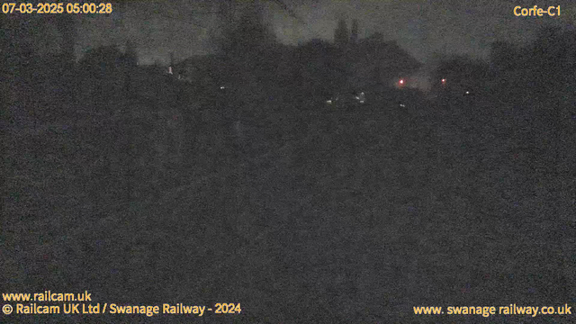 The image is very dark, showing a nighttime scene with limited visibility. There are faint lights in the background, possibly from buildings or vehicles, contributing to a dim atmosphere. Surrounding trees or structures are silhouetted against a cloudy sky, creating an indistinct landscape. The time and date displayed at the top indicate it's early morning on March 7, 2025.