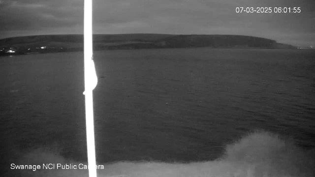 A black and white webcam image of a calm sea at dawn. The water is mostly dark with soft waves visible. In the distance, a coastline emerges featuring a low hill silhouette against a cloudy sky. The upper part of the image shows an overcast sky, while the bottom shows a gentle splash of waves. A vertical white element, possibly a pole or support structure, is present on the left side of the image. The timestamp indicates the image was taken early in the morning on March 7, 2025.