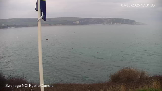 A gloomy, overcast scene depicting the sea with a calm surface. In the foreground, there is a white flagpole with a flag attached. The background features a hilly coastline and there are several white buoys floating in the water. The image captures a serene and slightly muted atmosphere, typical of a cloudy day. The timestamp at the top right indicates the date and time as March 7, 2025, at 5:01 PM.