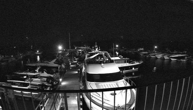 A nighttime view of a marina filled with various boats docked along a wooden pier. Some boats are illuminated by artificial lights, casting reflections on the dark water. The scene is monochromatic, highlighting the contrast between the bright lights and the surrounding darkness. A railing is visible in the foreground, framing the image. 