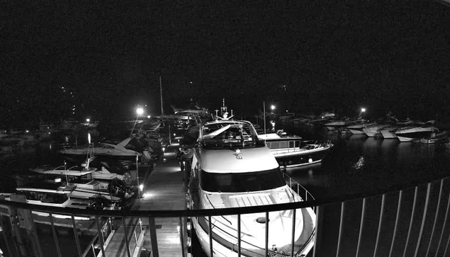 A nighttime scene of a marina, with several boats docked along a wooden pier. The image is predominantly black and white, with some artificial lights illuminating parts of the marina and the boats, creating a contrast against the dark waters. The boats vary in size and are tightly packed, with a few people visible on the pier. The reflection of the lights on the water adds a shimmering effect. A railing is visible in the foreground, framing the view of the marina.