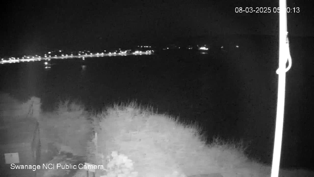 A nighttime view of a coastline with a harbor. The scene is mostly dark, with faint lights visible along the water's edge, suggesting the presence of boats or buildings. The foreground includes blurred vegetation, and there is a pole with a cable extending toward the upper right of the image. The date and time are displayed in the corner.