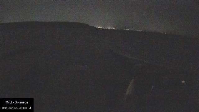 A dimly lit scene captures a dark landscape with a slight hill in the foreground. In the background, faint lights from a distant area suggest the presence of a town or city along the coastline. The overall ambiance is nighttime, and the details are minimal due to low visibility.