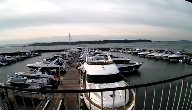 A view of a marina filled with numerous boats and yachts docked along wooden piers. The boats vary in size and color, with some featuring canopies and distinctive designs. In the background, there is a body of water reflecting the overcast sky, while a distant shoreline with greenery can be seen. The image conveys a serene aquatic setting under a cloudy sky.