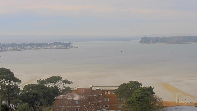 A coastal view featuring a light gray sky and calm water. In the foreground, there are low-rise buildings with a brick facade and trees. The shoreline stretches across the middle of the image, with boats visible on the water. On the left, a marina can be seen, and on the right, there is a tree-covered island in the distance. The overall atmosphere is serene and slightly overcast.