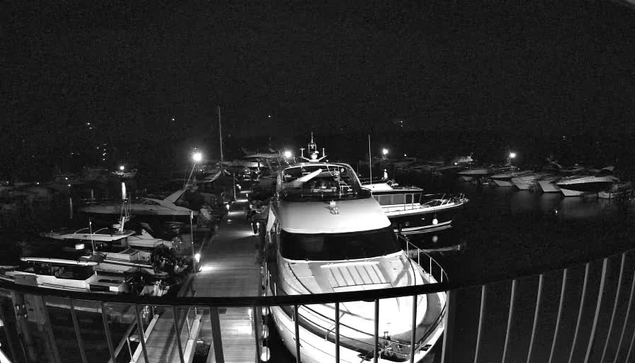 A nighttime scene of a marina filled with several boats and yachts, illuminated by scattered lights. The image is monochromatic, showcasing high contrast between the dark water and the white surfaces of the boats. In the foreground, a large yacht is docked, with a walkway leading to it. Other smaller boats are visible along the sides, reflecting faint lights in the water. The environment appears calm and tranquil.