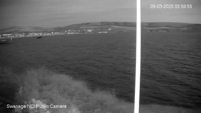 A black and white webcam image shows a view of the sea at dawn. The water appears calm with gentle waves, and a faint, distant shoreline is visible on the horizon. Lights from buildings or boats near the shore reflect softly on the water surface. In the foreground, there are dark silhouettes of rocks or vegetation, with a bright vertical light streak on the right side, possibly from the webcam frame.