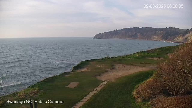 A view of the coastline at Swanage, capturing a stretch of green grass leading down to the sea. The water appears calm and gently rippling under a cloudy sky. In the distance, cliffs rise along the horizon, partially covered by trees. A pathway made of stone slabs is visible on the grass, leading towards the water. The image is timestamped at 08:00:05 on March 9, 2025.