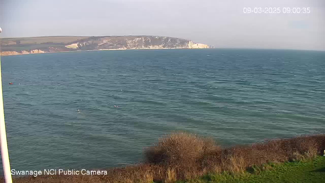 A coastal scene featuring a wide expanse of blue water with gentle ripples. In the distance, white chalk cliffs rise along the shoreline, under a clear sky. A few small boats are visible on the water. The foreground includes a patch of green grass and some brown shrubbery. The time stamp indicates the image was taken on March 9, 2025, at 9:00 AM.