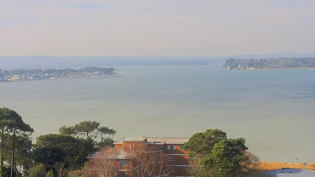 A panoramic view of a calm body of water under a light blue sky. In the foreground, there are several trees with green foliage. A building with a reddish-brown exterior is visible in the lower right corner. To the left, a marina with white sailboats is docked along the shore. In the distance, a landscape of hills and more trees can be seen on the horizon. On the far right, there is a hint of a structure at the water's edge. The overall scene captures a serene and tranquil atmosphere.