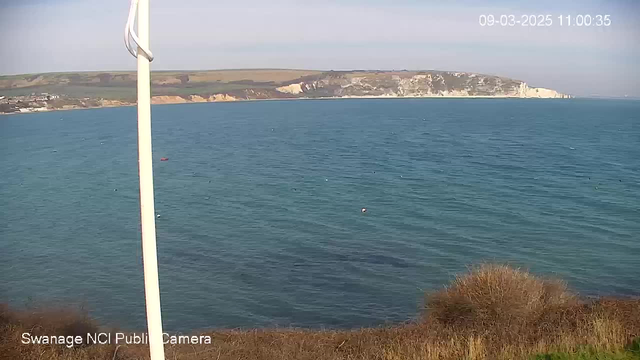 A scenic view of a calm sea under a clear sky. In the foreground, there is a patch of dry grass and some bushes, with a white pole extending vertically from the left side of the image. The water surface reflects soft light, and small fishing buoys can be seen floating in the water. In the background, cliffs rise along the coastline, with green hills further inland. The image conveys a peaceful coastal landscape.